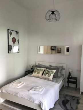 Near City park only 5 minutes walk , where you can find the world famous Szechenyi thermal bath spa, Capital Circus , Museums The apartment is modern and newly renovated ,in a quiet and peaceful green